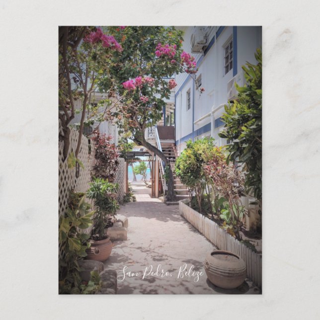 San Pedro Ambergris Caye Belize Postcard (Front)