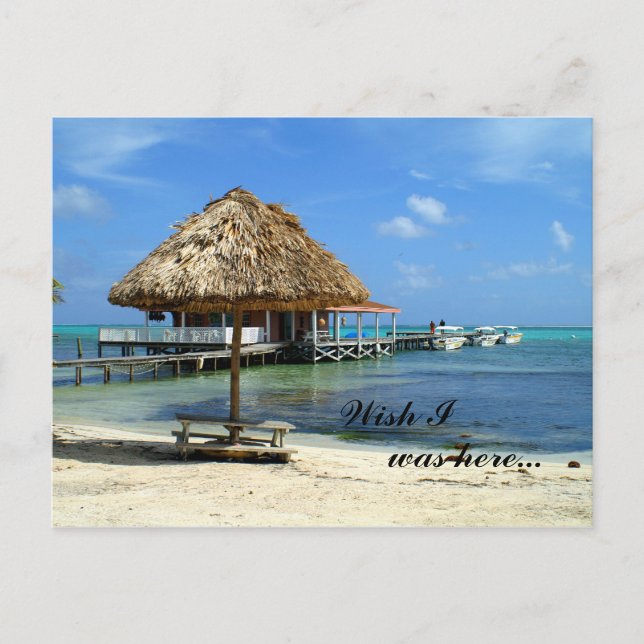 San Pedro, Belize postcard (Front)