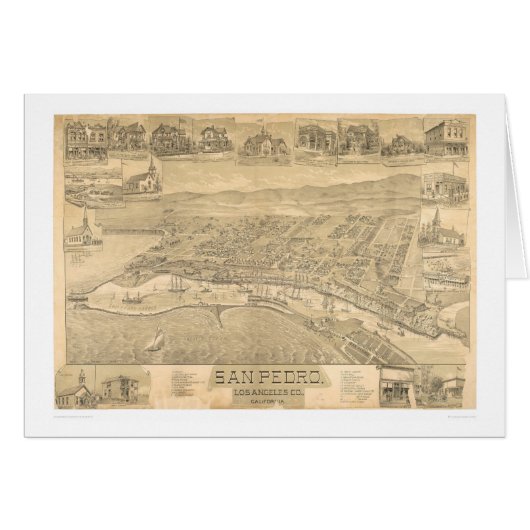 San Pedro, CA. Panoramic Map 1895 (1319A) Cards (Front Horizontal)