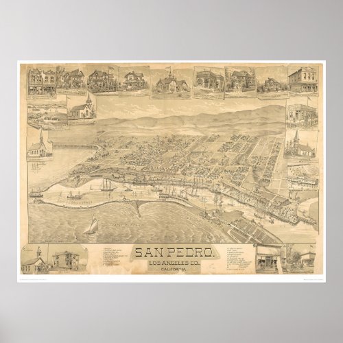 San Pedro CA Panoramic Map 1895 1319A Poster