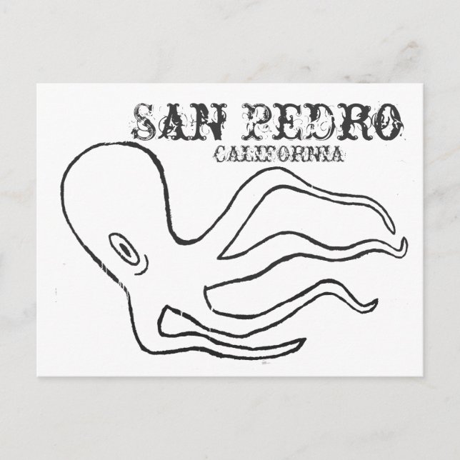 San Pedro Octopus Postcard (Front)