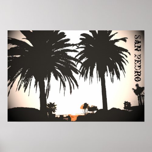 San Pedro Royal Palms Poster