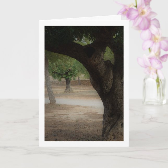 San Vicente Park Lliria, Valencia Card (Orchid)