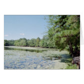 Sanctuary (Front Horizontal)