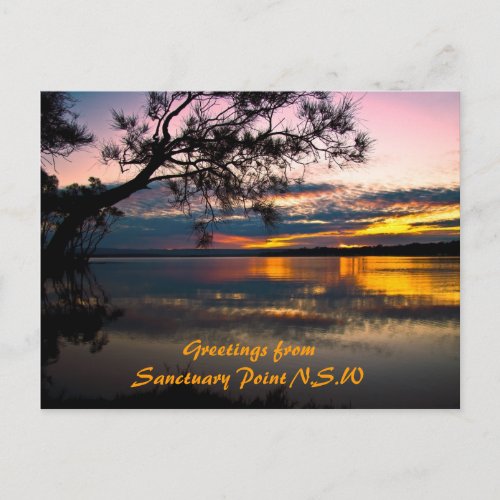 Sanctuary Beauty Greetings from Sanctuary Poin Postcard
