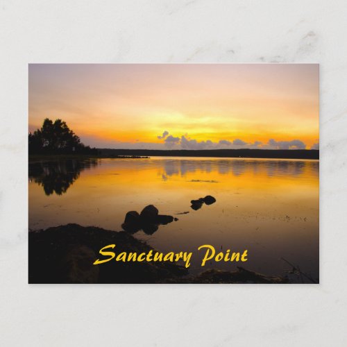 Sanctuary Morning 1 Sanctuary Point Postcard