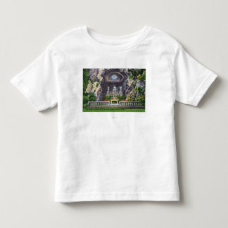 Sanctuary of Our Sorrowful Mother Grotto View Toddler T-shirt