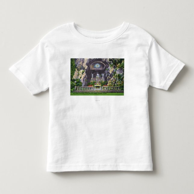 Sanctuary of Our Sorrowful Mother Grotto View Toddler T-shirt (Front)