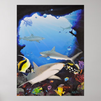 sanctuaryoftheshark poster
