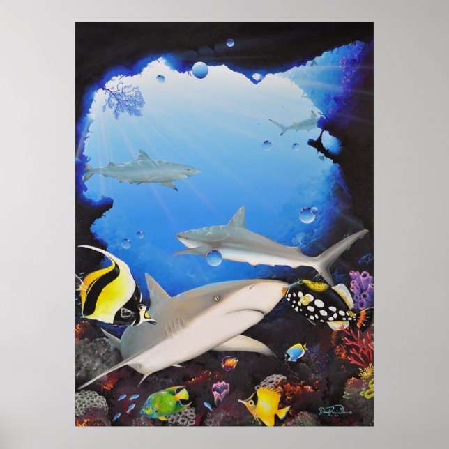 sanctuaryoftheshark poster (Front)