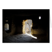 Sanctum (Front Horizontal)