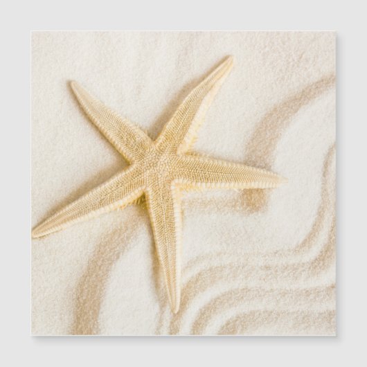 Sand and a Starfish natural neutral color  (Front)