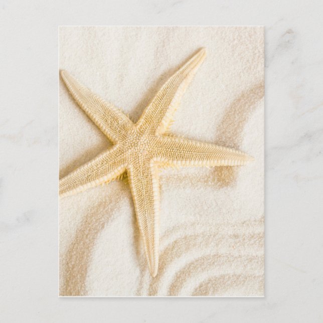 Sand and a Starfish natural neutral color Postcard (Front)