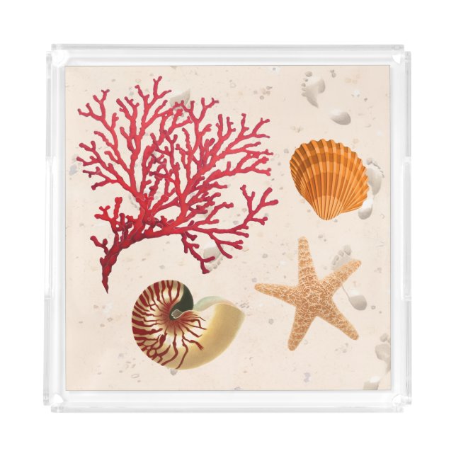 Sand and seashells medium acrylic tray (Front)