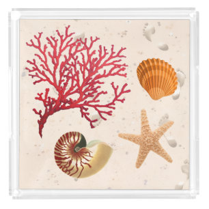 Sand and seashells xl-arge acrylic tray