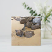 Sand and Stones (Standing Front)