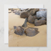 Sand and Stones (Front)