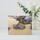 Sand and Stones (Standing Front)