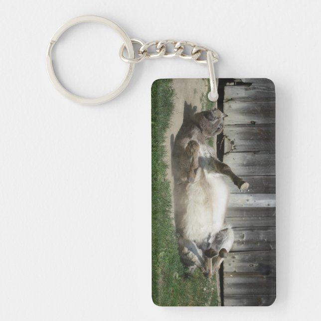 Sand Bathing Donkey Keychain (Front)