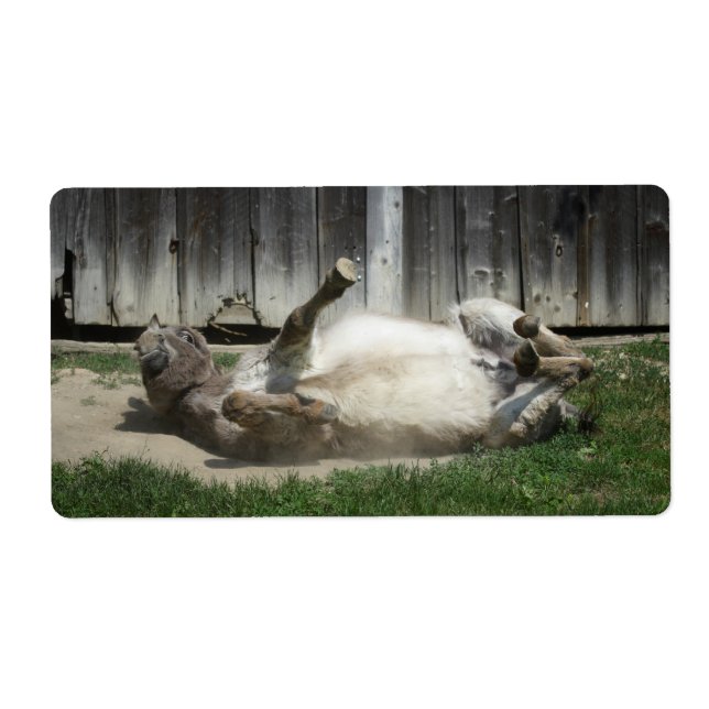 Sand Bathing Donkey Label (Front)