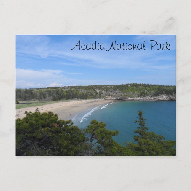 Sand Beach- Acadia National Park Postcard (Front)