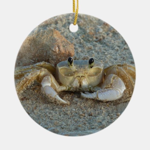 Sand Crab Ceramic Ornament