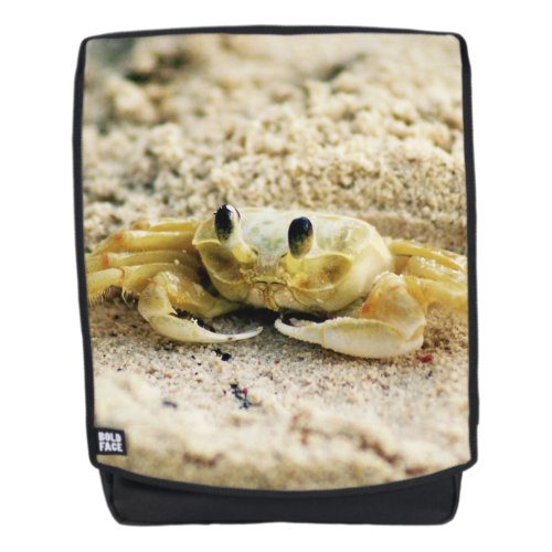 Sand Crab Curacao Caribbean islands Photo Backpack