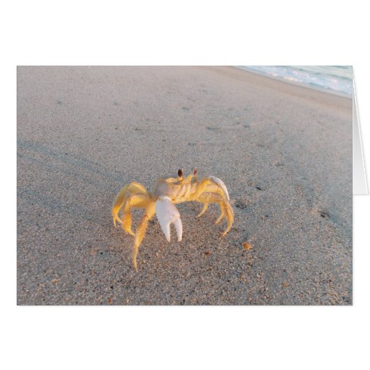 Sand Crab Dance Cards (Front Horizontal)