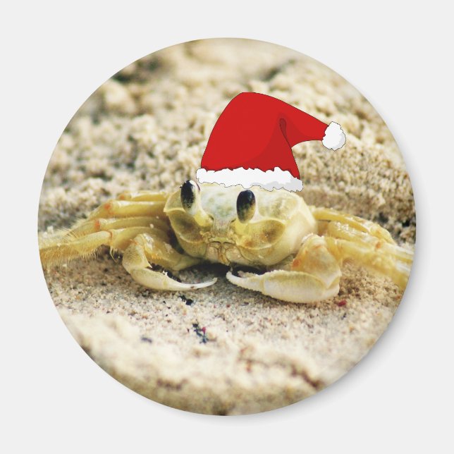 Sand Crab in Santa Hat Christmas Magnet (Front)