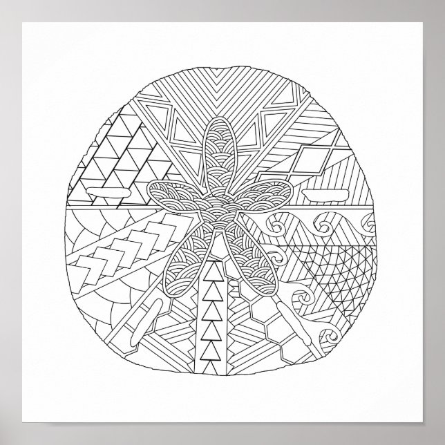 Sand Dollar Adult Coloring Poster (Front)