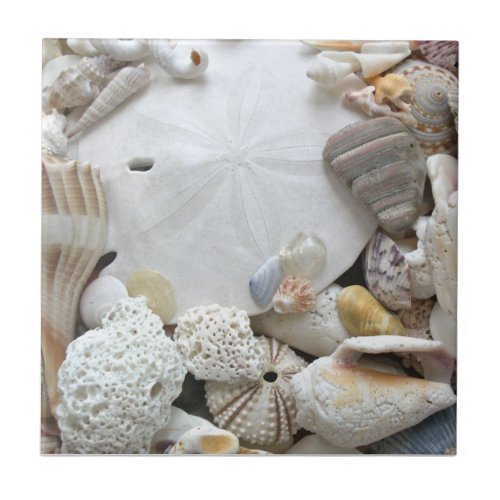 Sand Dollar and Seashells Ceramic Tile