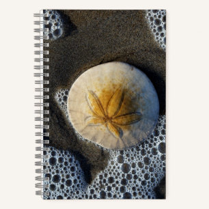 Sand Dollar and Surf Beach Photo 8x5 Notebook