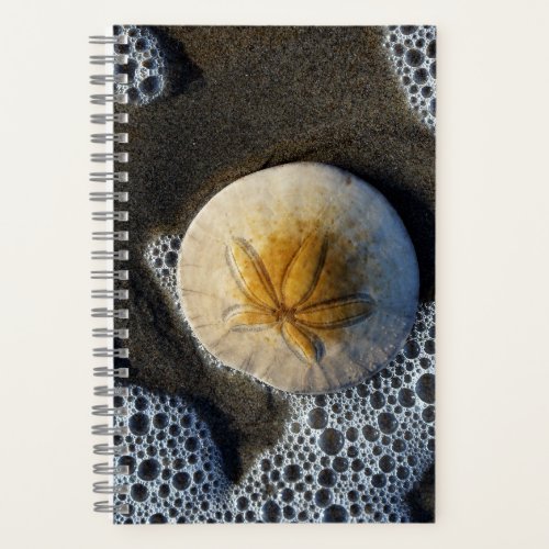 Sand Dollar and Surf Beach Photo 8x5 Notebook