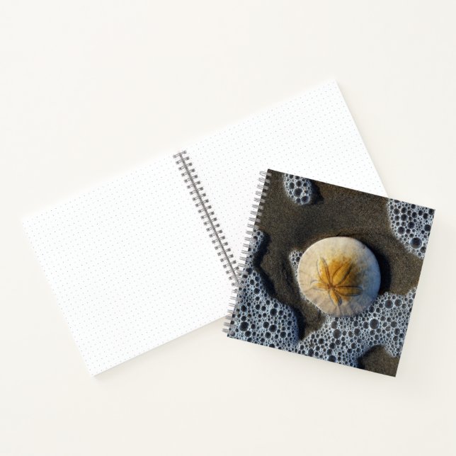 Sand Dollar and Surf Beach Photo 8x8 Notebook (Inside)