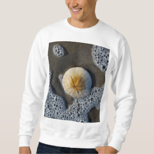 Sand Dollar and Surf Beach Photo Men's Sweatshirt