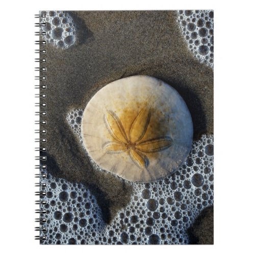 Sand Dollar and Surf Beach Photo Spiral Notebook