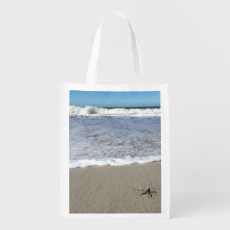 Sand dollar beach bag