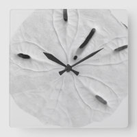 Sand Dollar Beach Coastal Black White Trendy Cool