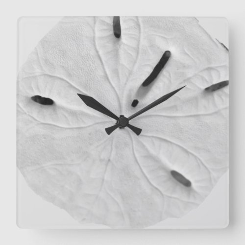 Sand Dollar Beach Coastal Black White Trendy Cool Square Wall Clock