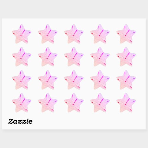 Sand Dollar Beach Coastal Trendy Cute Pink Girly Star Sticker