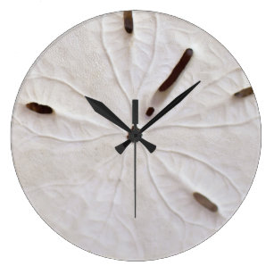Seashell Wall Clocks | Zazzle