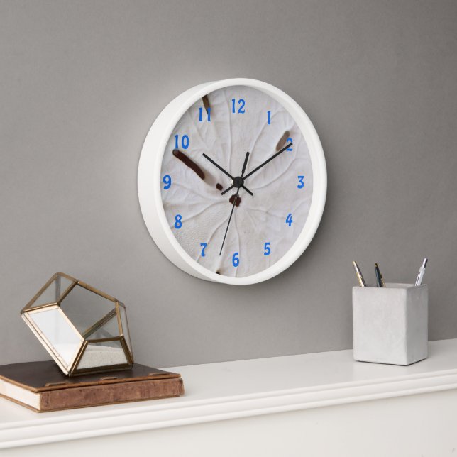 Sand Dollar Beach Coastal White Grey Trendy Cute Clock (Office)