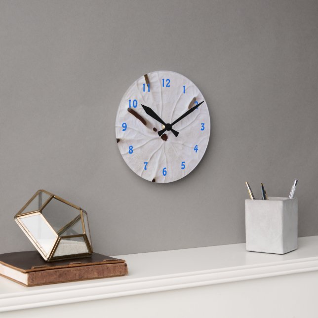 Sand Dollar Beach Coastal White Grey Trendy Gift Round Clock (Office)