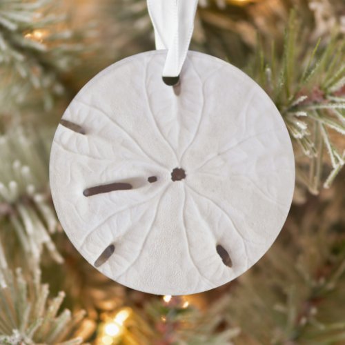 Sand Dollar Beach Coastal White Round Trendy 2020 Ornament