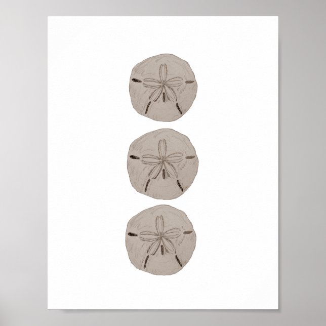 Sand Dollar Beach Decor Watercolor Painting (Front)