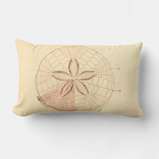 Sand Dollar Beach Illustration Lumbar Pillow