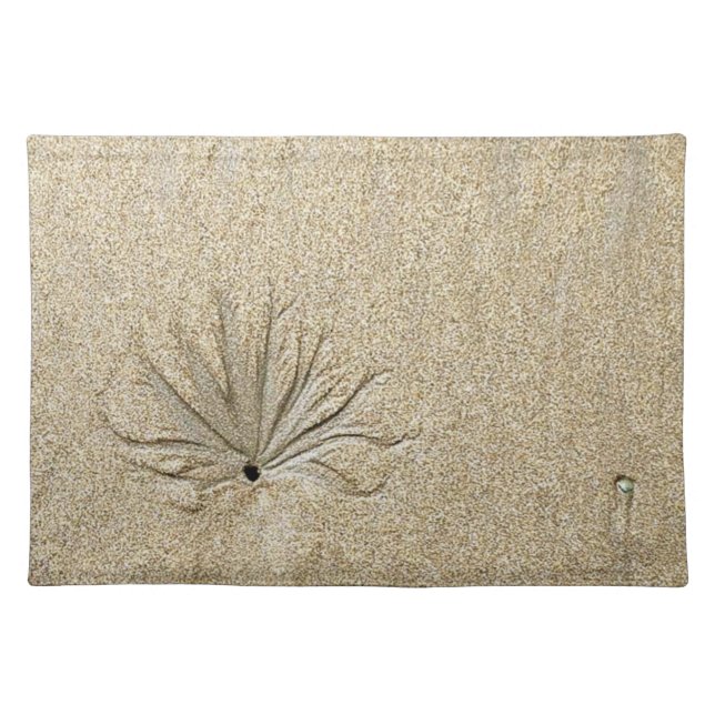Sand  Dollar Beachy Dreams Placemats (Front)