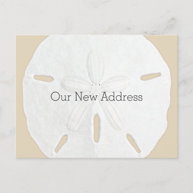 Sand Dollar Coastal New Address Announcement Postcard (Front)