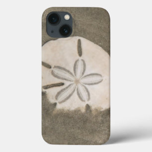 Sand dollar (Echinarachnius parma) iPhone 13 Case