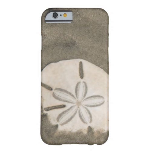Sand dollar Echinarachnius parma Barely There iPhone 6 Case